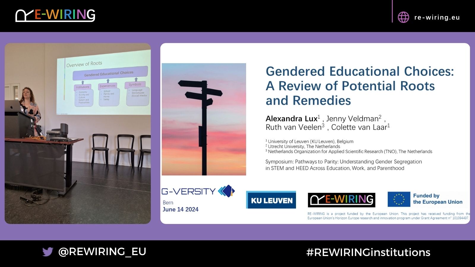 Gendered Educational Choices: A Review of Potential Roots and Remedies